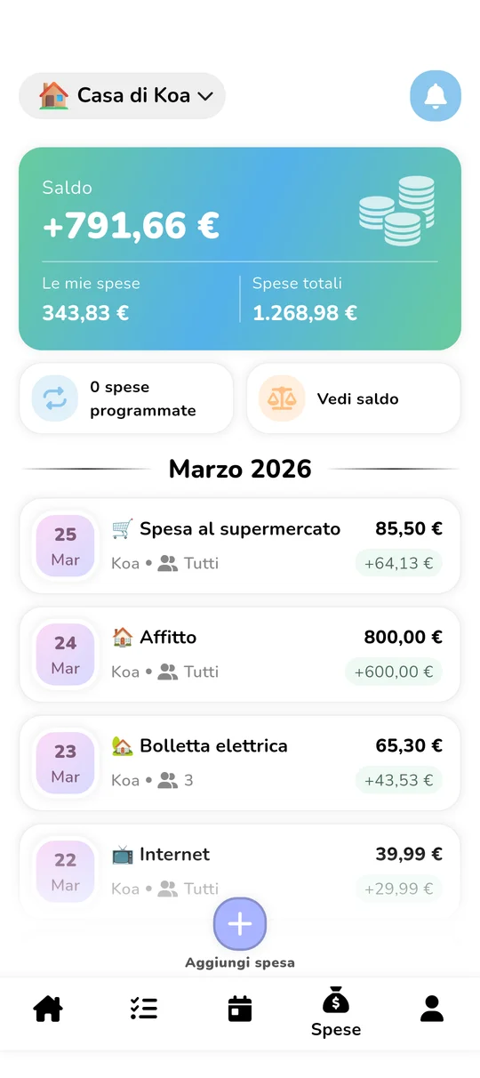 Interfaccia di budget condiviso e suddivisione delle spese